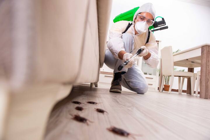 A picture of a man holding a can of pest control spray and aiming it at an unseen pest. The man appears to be indoors, possibly in a kitchen or other area where pests may be present. If you are dealing with a pest infestation in Melbourne, FL, consider contacting a professional pest control company in the area for assistance.